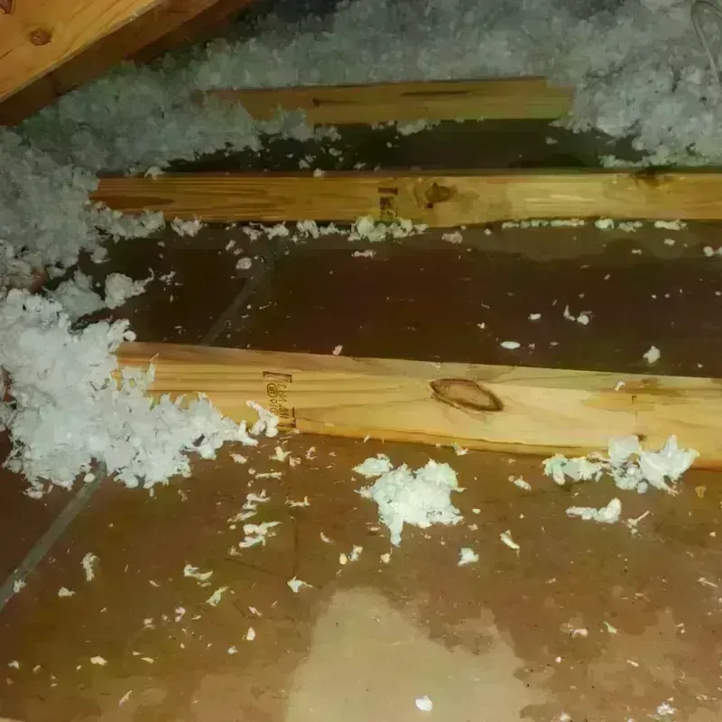 Attic Water Damage in Genesee County, MI