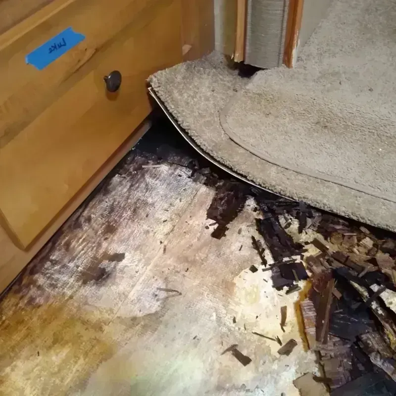 Wood Floor Water Damage in Genesee County, MI